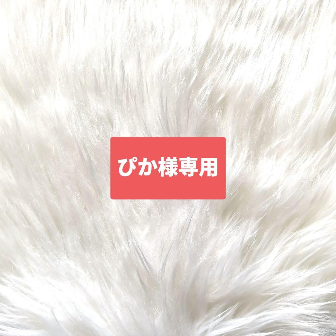 【ぴか様専用】