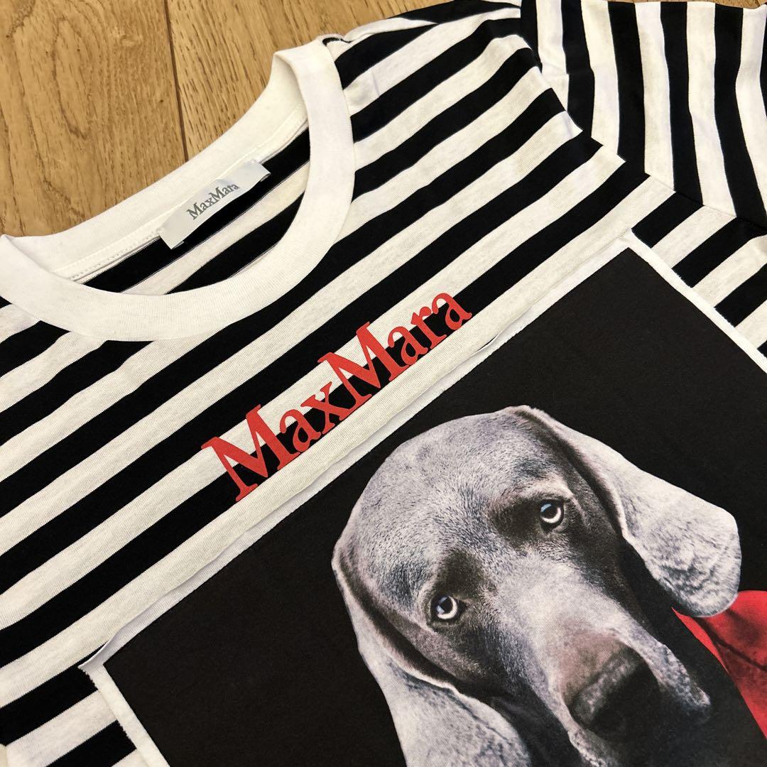 マックスマーラ MaxMara rosso ドッグプリントTシャツ S 正規品