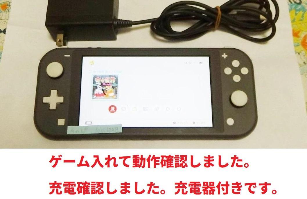 Nintendo Switch Lite 本体 充電器とSDカード付き Nintendo Switch Lite 本体 アダプターとSDカード付き Nintendo