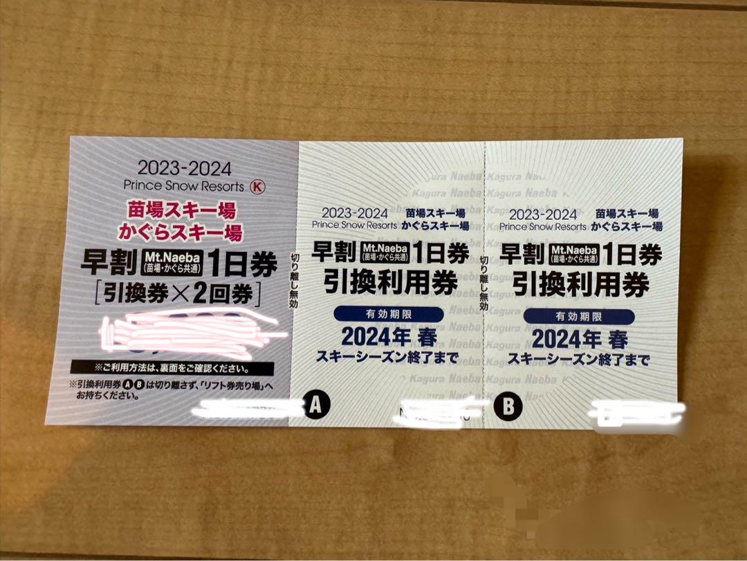 Mt.Naebaは苗場/かぐら共通券　ドラゴンドラ利用可　苗場スキー場リフト券