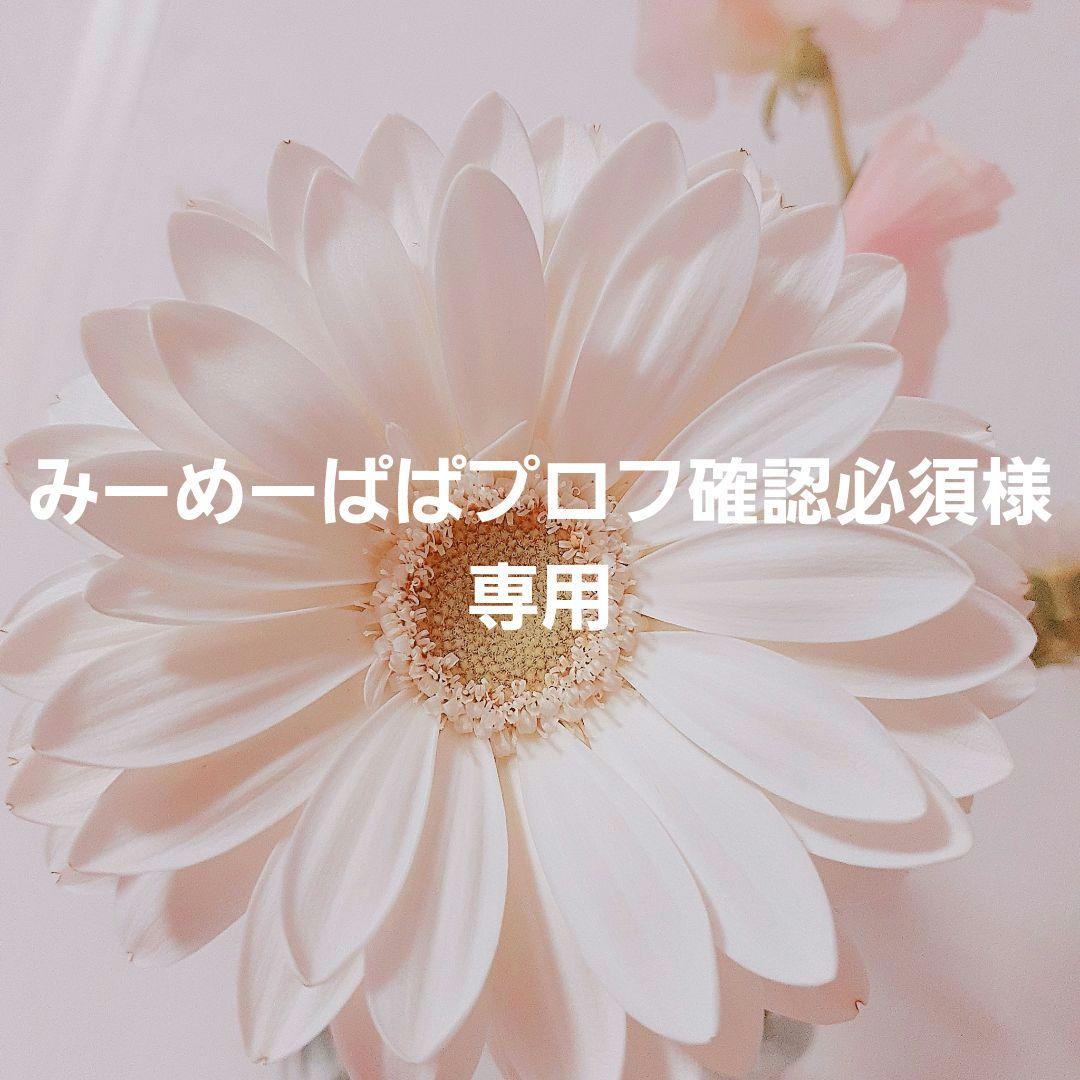 みーめーぱぱプロフ確認必須さま専用