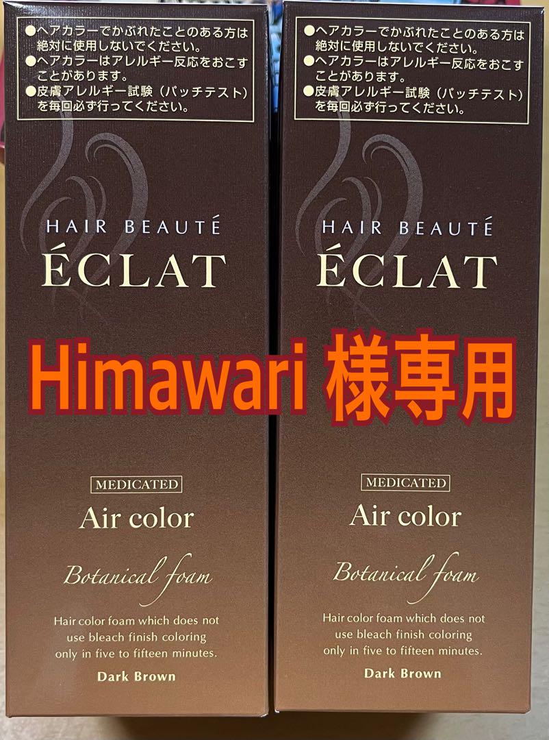 ボタニカル エアーカラーフォーム

ダークブラウン 150g  2本セット