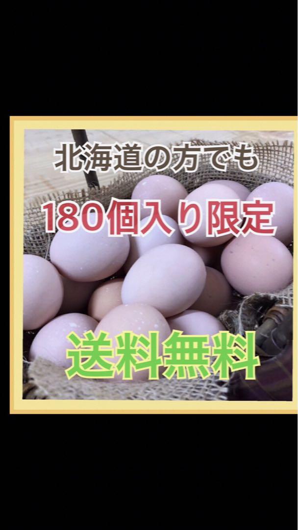 コーチン180