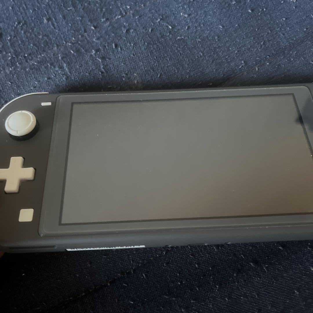 Nintendo Switch Lite グレー 本体 ＋ 充電器 Nintendo SwitchLiteグレー本体 ケースあり充電器付き