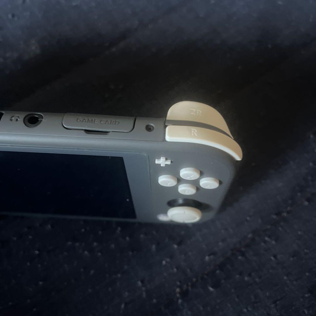 Switch Lite グレー　本体と充電器 Nintendo Switch Lite グレー 本体と充電器 Nintendo Switch
