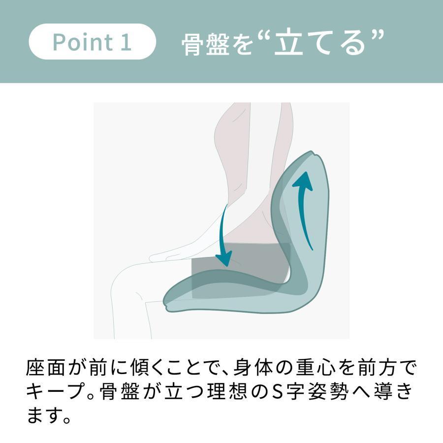 新品同様 MTG Style Premium 骨盤サポートチェア ブラウン