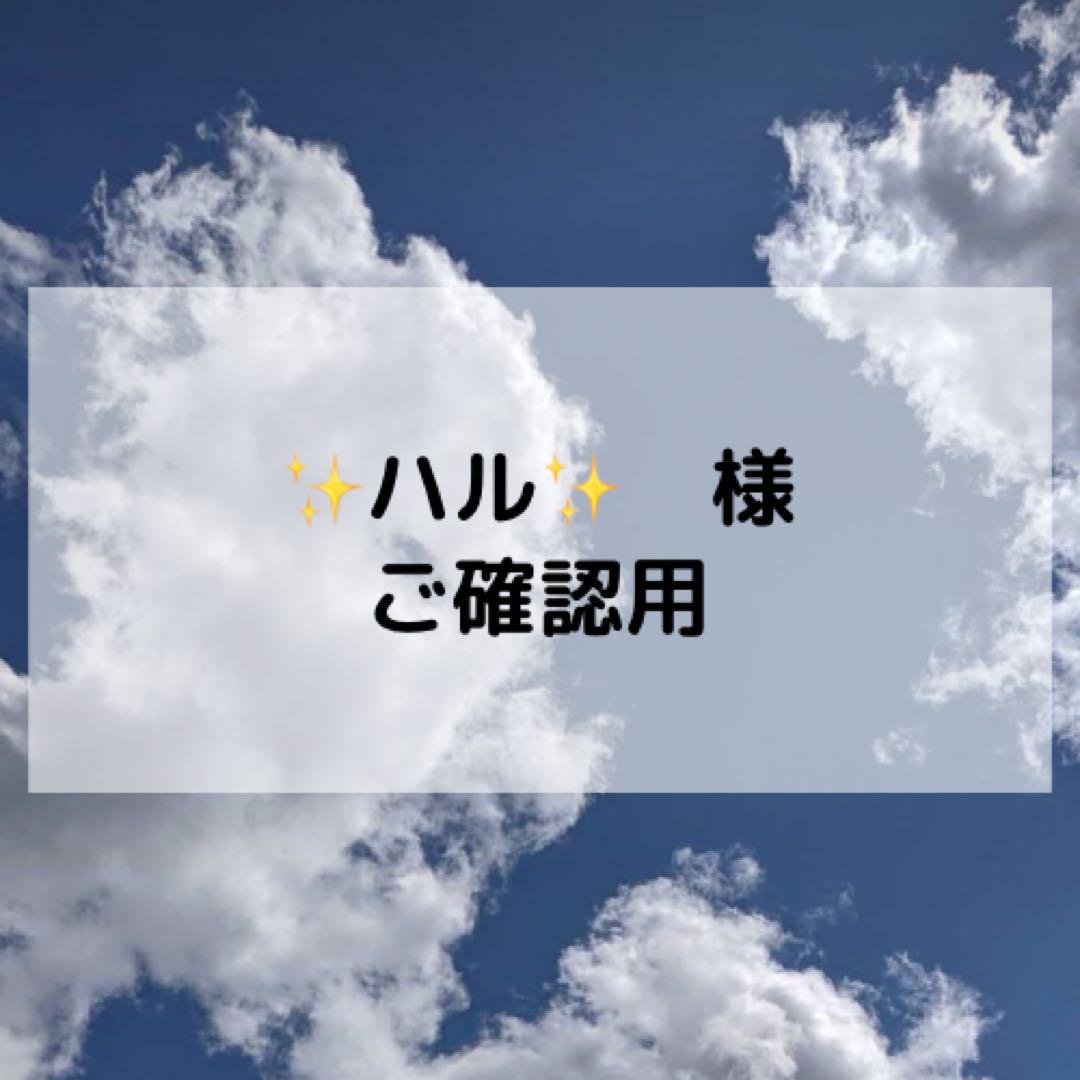 ✨ハル✨様ご確認用ページ