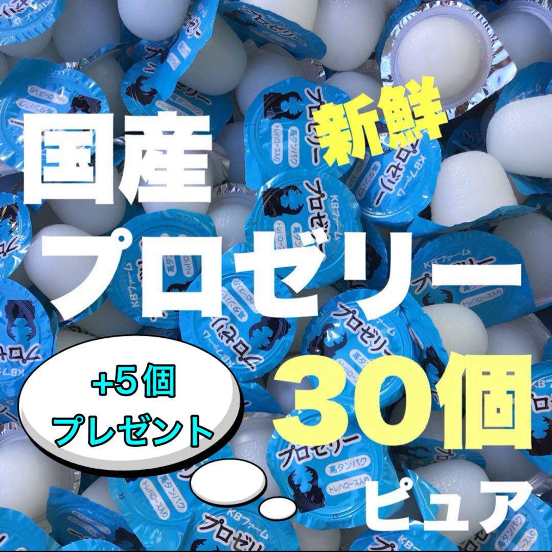 プロゼリー 1000 昆虫ゼリー クワガタ・カブトムシ・モモンガ・ハムスターA プロゼリー 1000 昆虫ゼリー クワガタ・カブトムシ・モモンガ