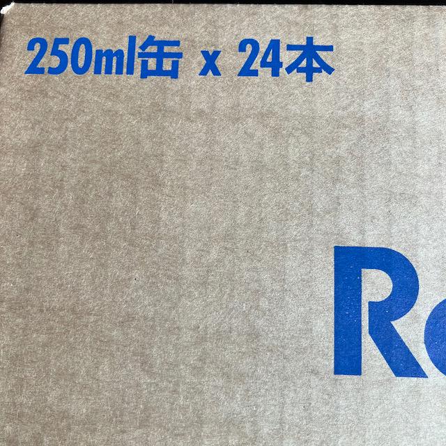 Red Bull レッドブル 250ml 24本 2ケース 25年6月30日