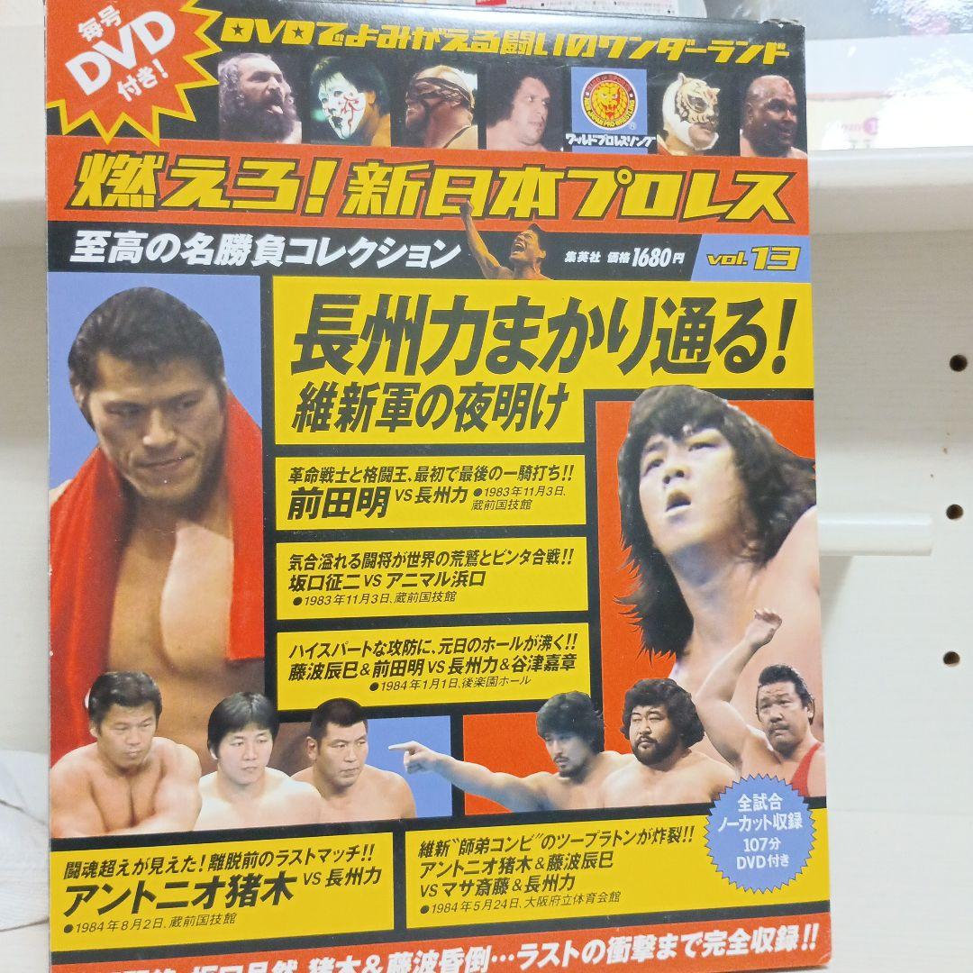燃えろ新日本プロレス長州力まかり通る! 維新軍の夜明け vol.13