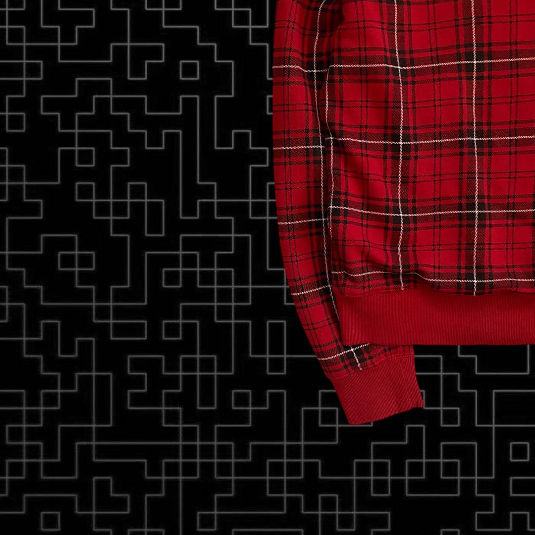 トップス Polo Ralph Lauren check zip hoodie y2k