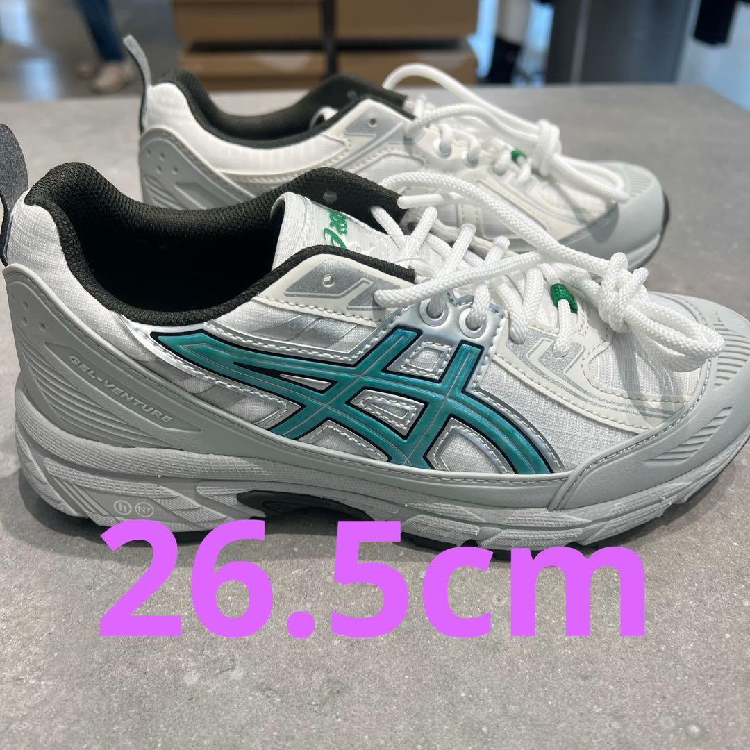 Hidden NY Asics Gel-Venture 6 Shield