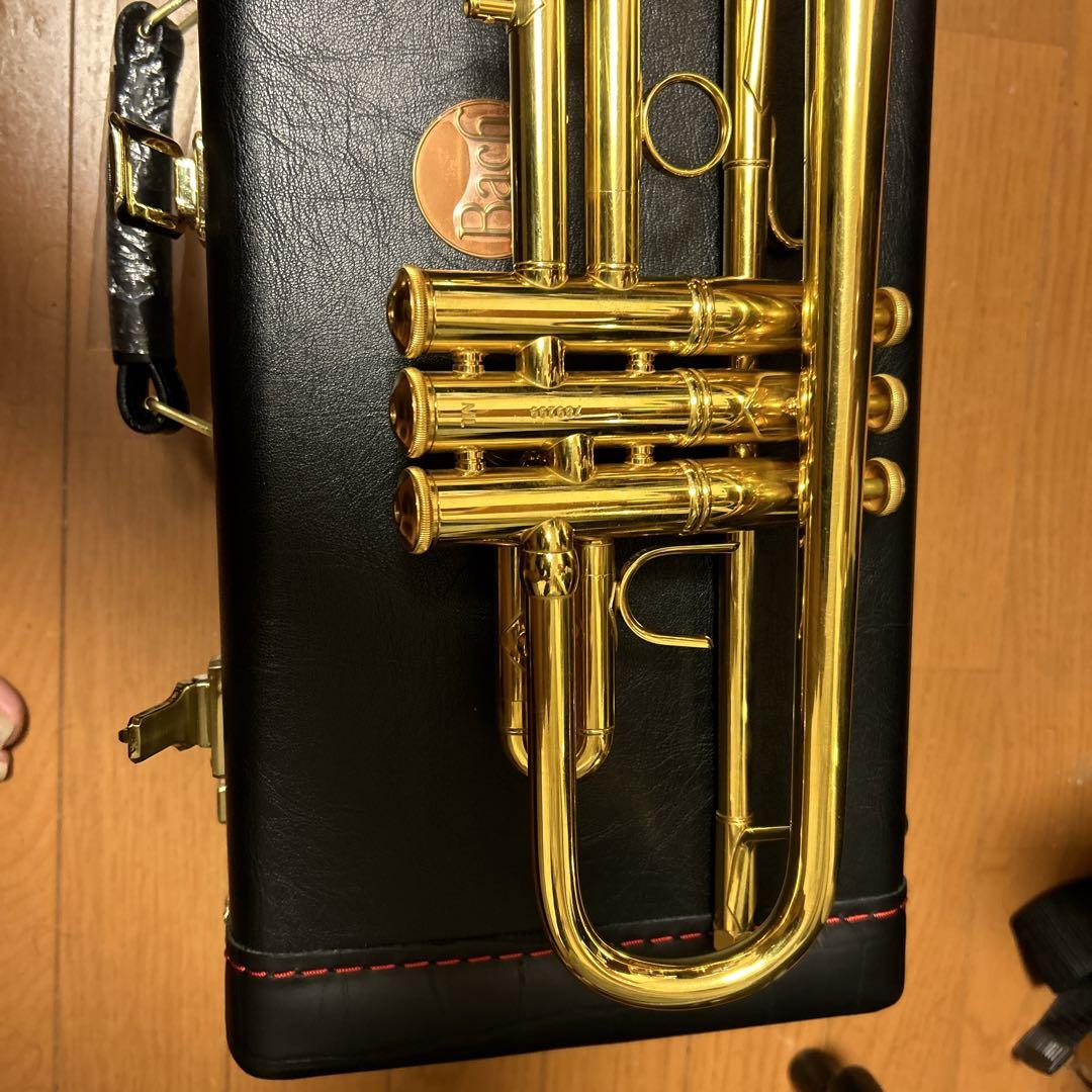 Bach トランペット180MLGPゴールドプレート
