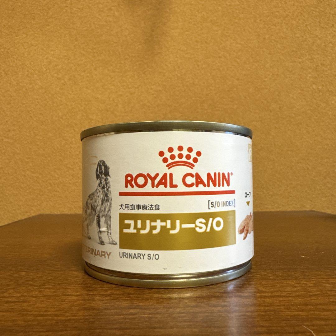  CANIN ユリナリーS/O 200g缶 40個 未開封