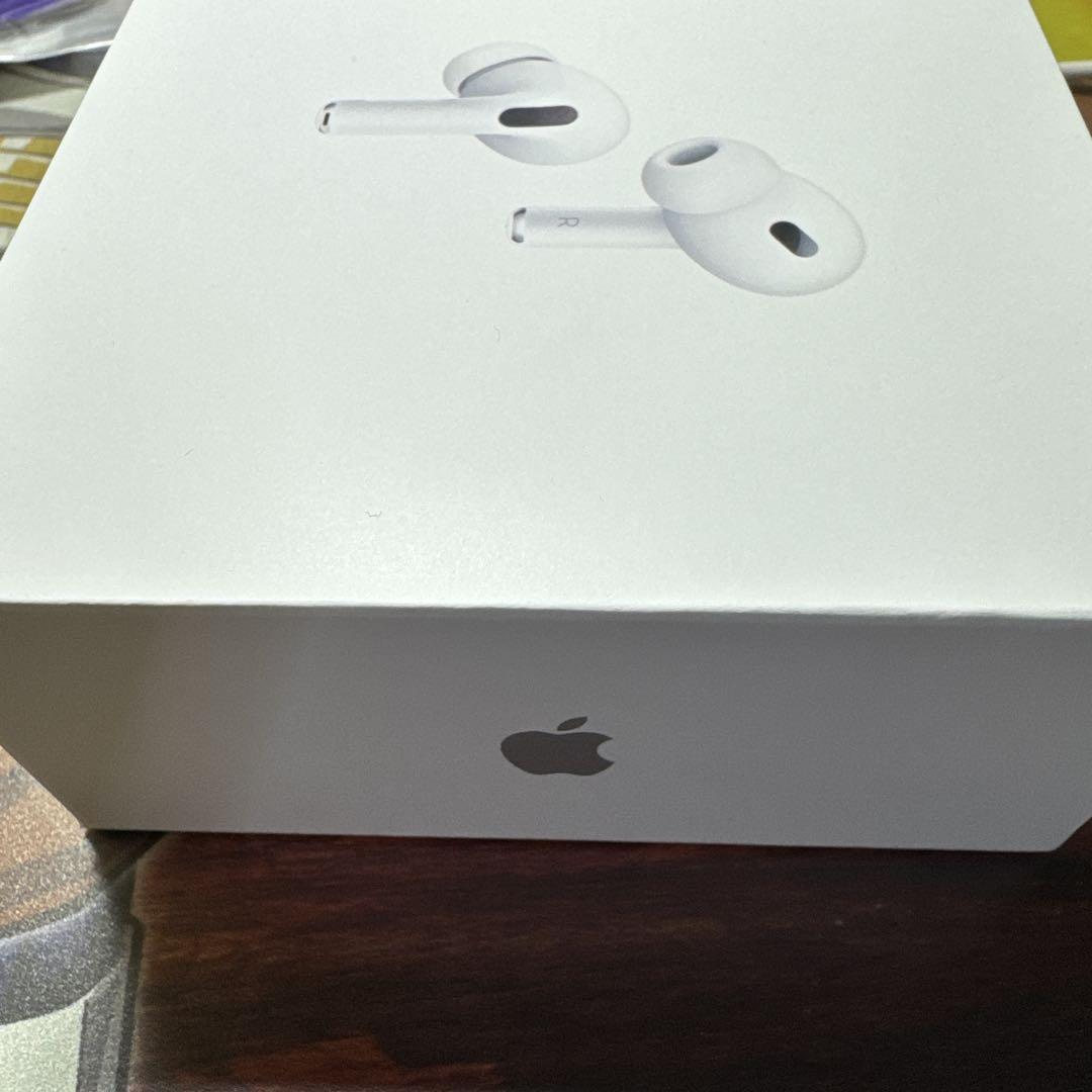 Apple AirPods Pro 本体2 usb-C