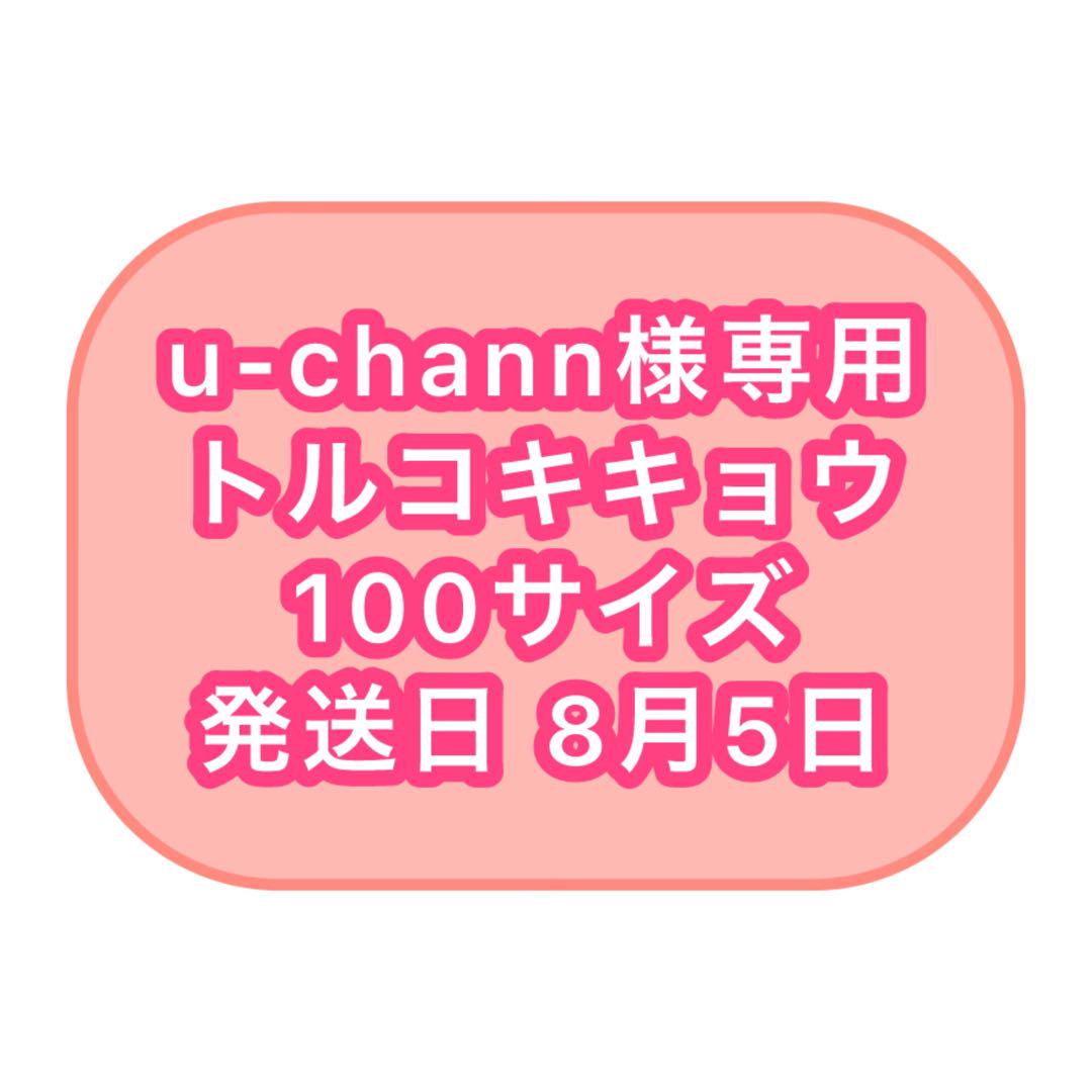 ［u-chann様専用］発送日8/5 トルコキキョウ100サイズ