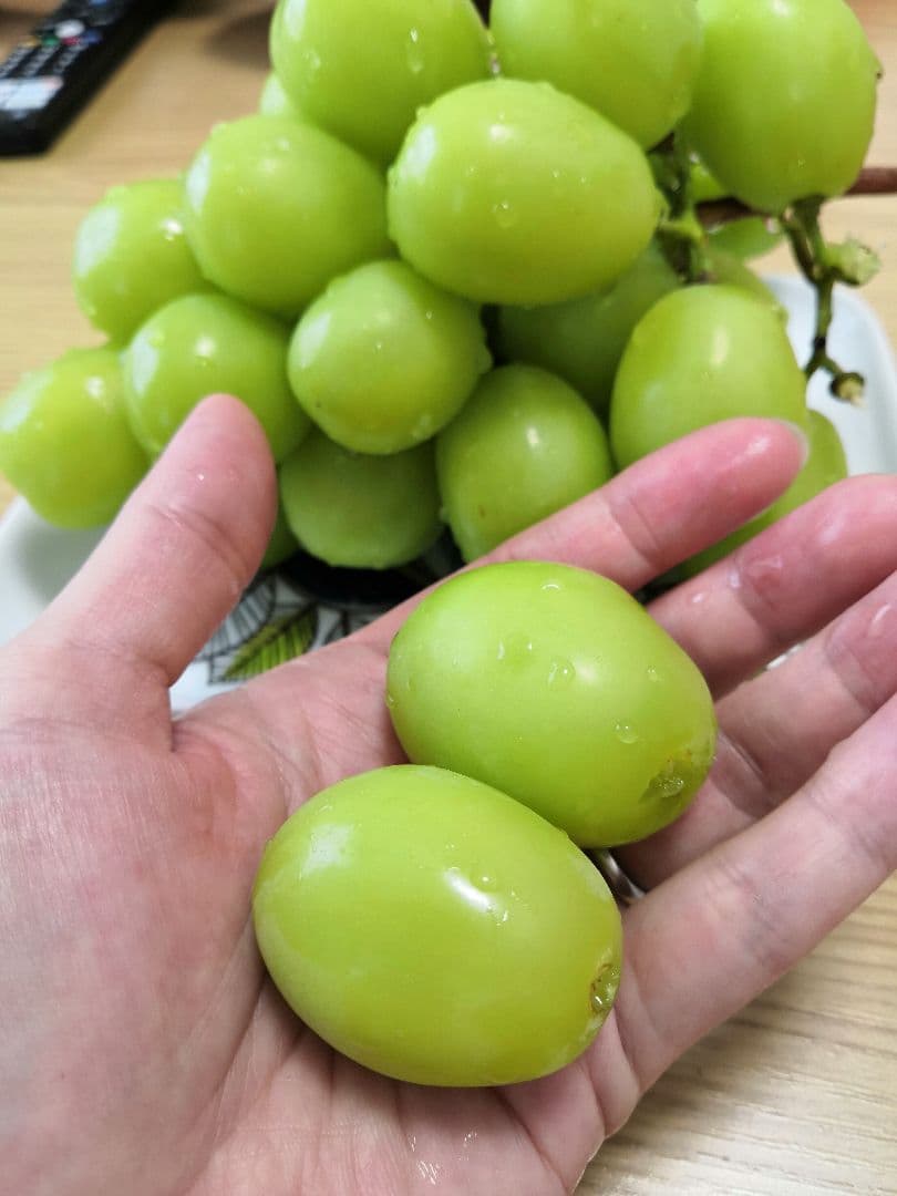大粒シャインマスカット/上位等級の青秀品！/業務用/山梨県笛吹市産/5kg入