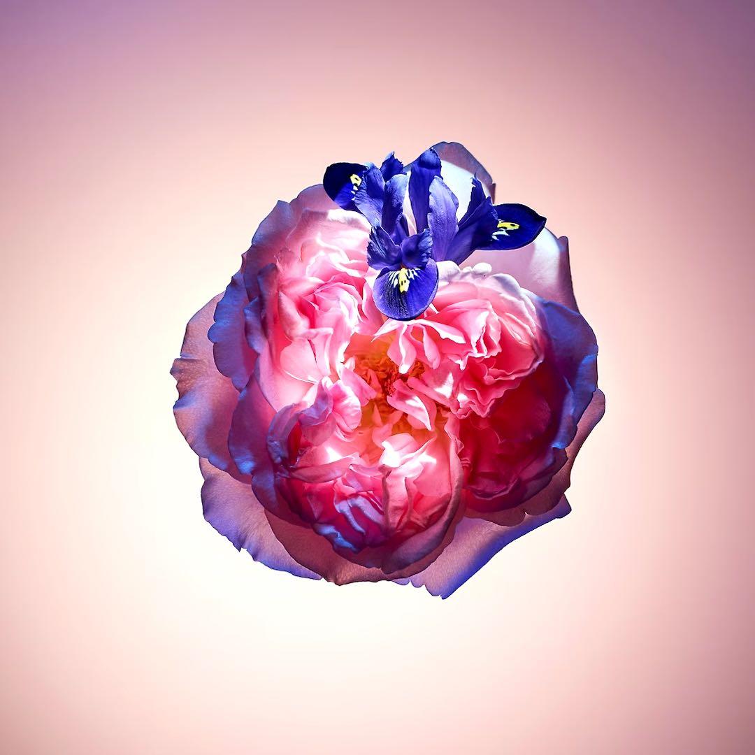 ルイヴィトン “ローズデヴァン” 10ml 香水 ミニチュアボトル