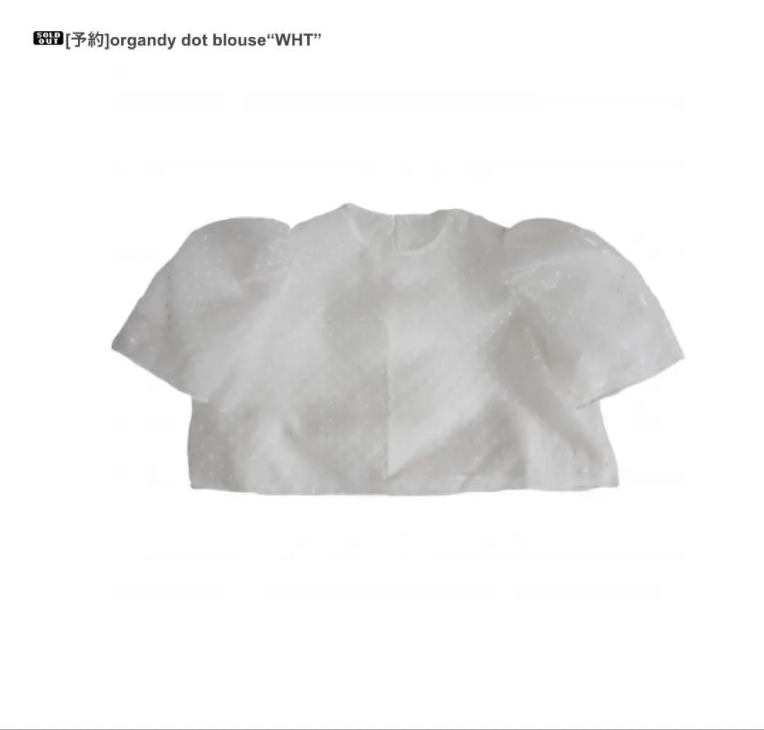 epa organdy dot blouse whiteドットオーガンジー