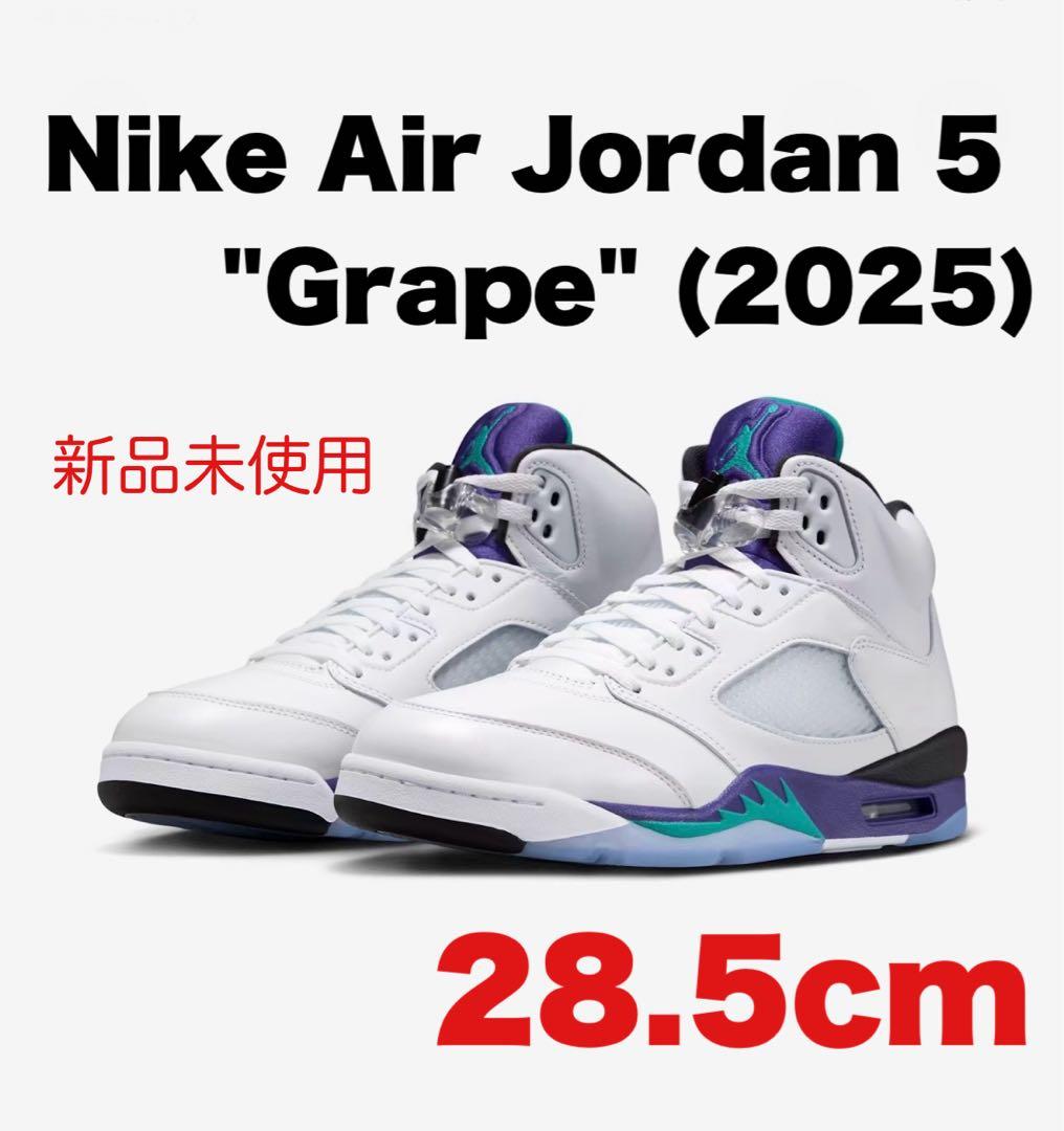 Nike Air Jordan 5 Retro 