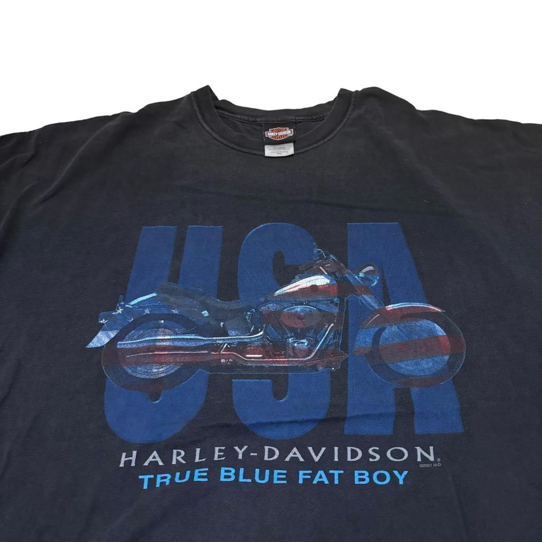 レアデザイン USA製 アメリカ製 ハーレーダビッドソン Tシャツ ネバダ