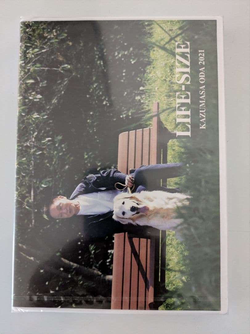 ステラ様 リクエスト 2点 まとめ商品