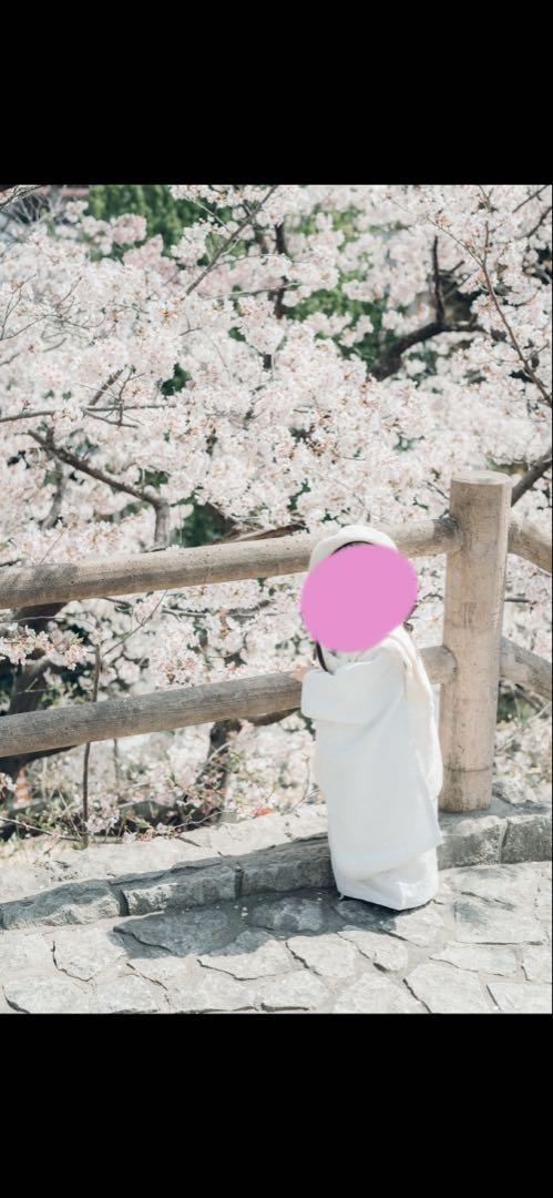 三歳女の子 七五三セット
