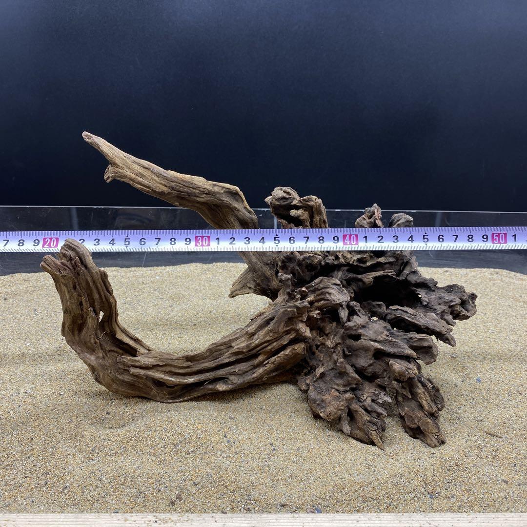 MSRW-6648 天然流木1点物 スリムウッド アクアリウム - メルカリ