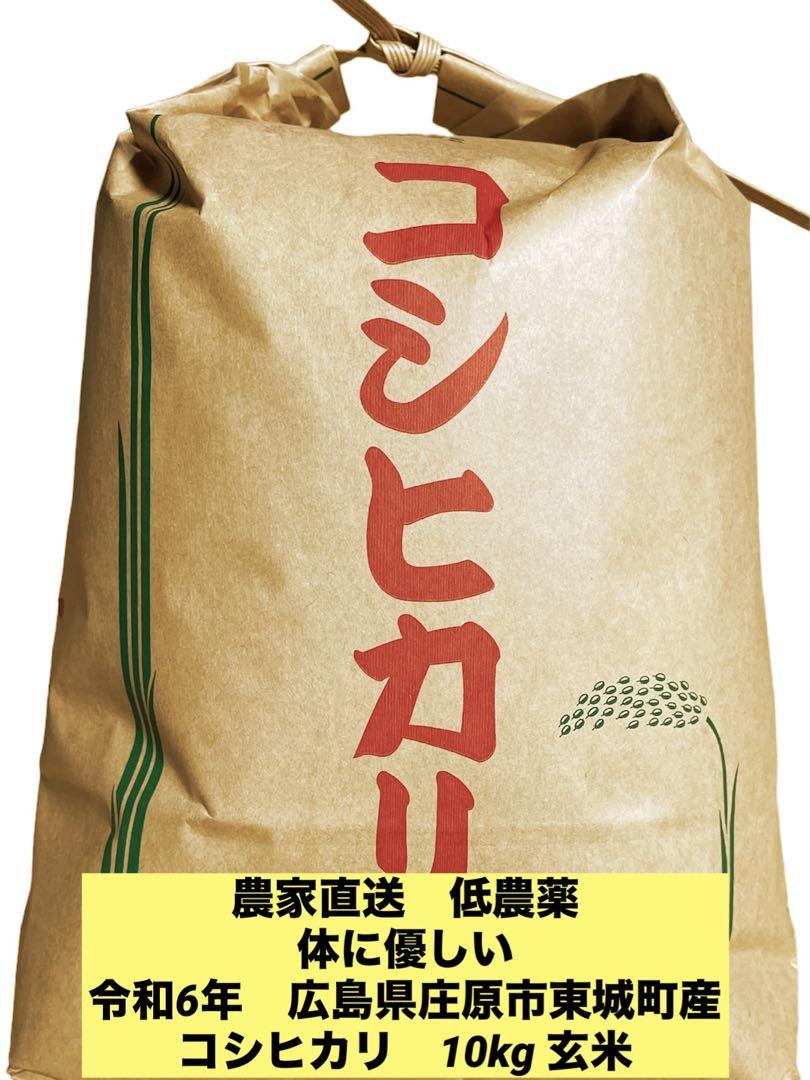 shigeko様専用 令和6年 広島県庄原市東城町産コシヒカリ 10kg