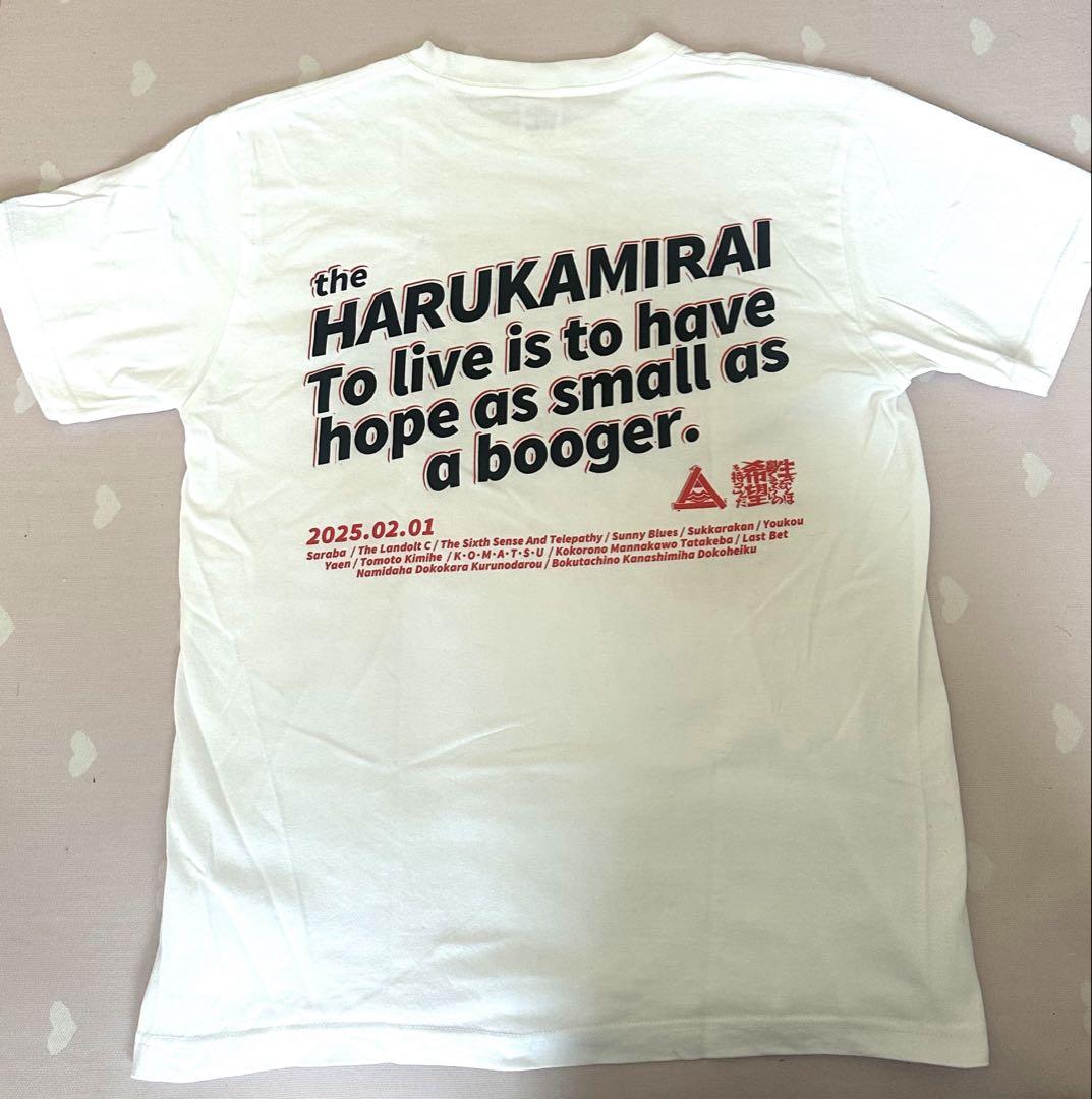 ハルカミライ LIVE EDITION Tシャツ ホワイト 白 Mサイズ - メルカリ