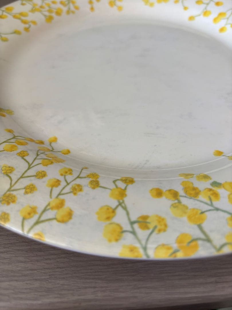 ディナープレート