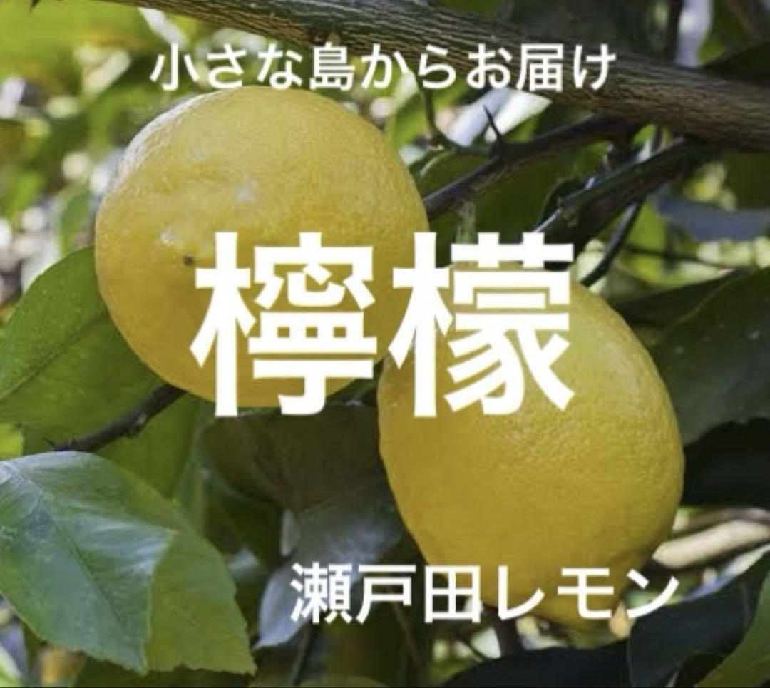 VC-3000クロスタブレット レモン味 | ノーベル製菓株式会社