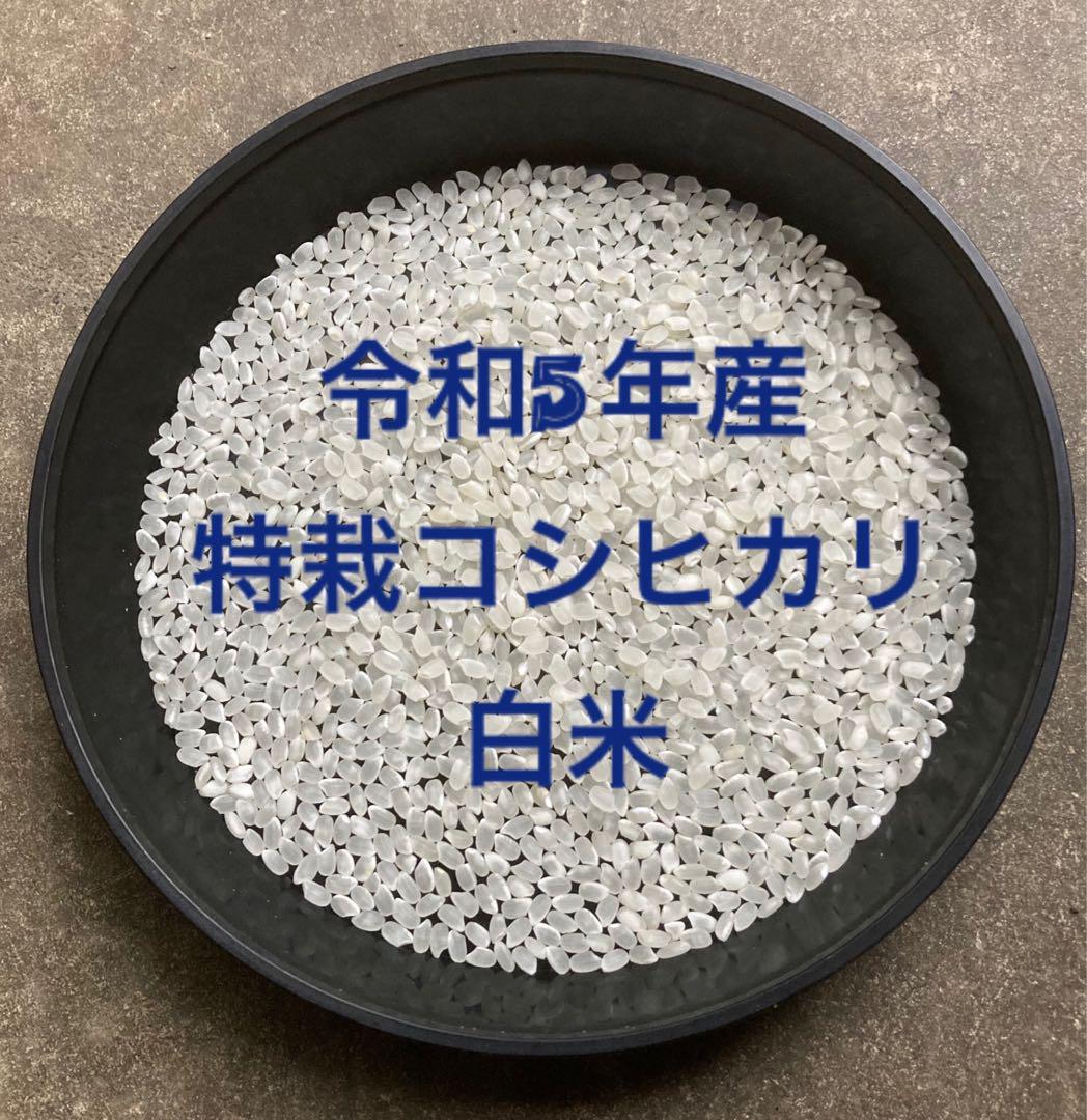 最低 価格その他 - 新米入荷！令和5年産「丹後産コシヒカリ