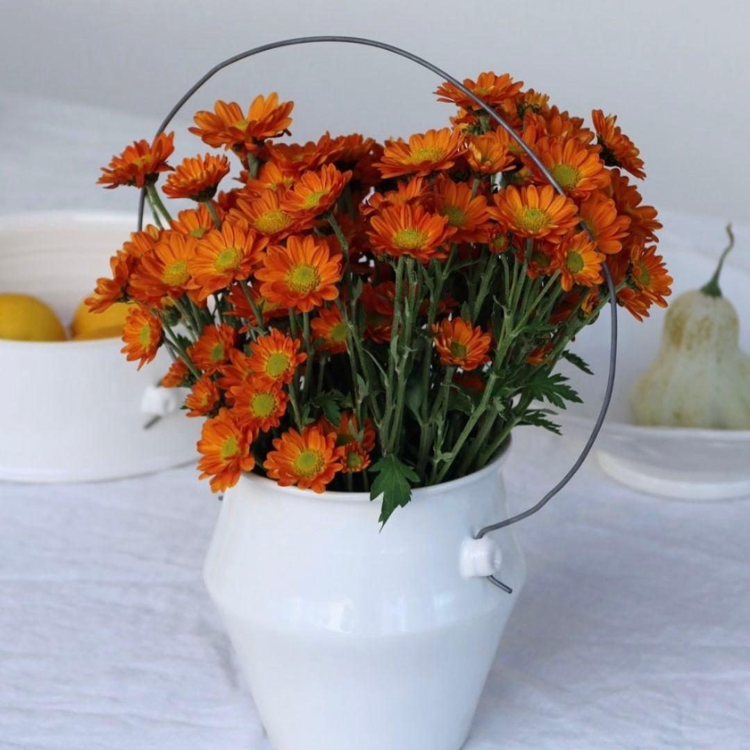 京焼金彩宝珠香合10客　　新品未使用　　お正月　お祝いの器 京焼金彩宝珠香合10客 新品未使用 お正月 お祝いの器 2024年〛お