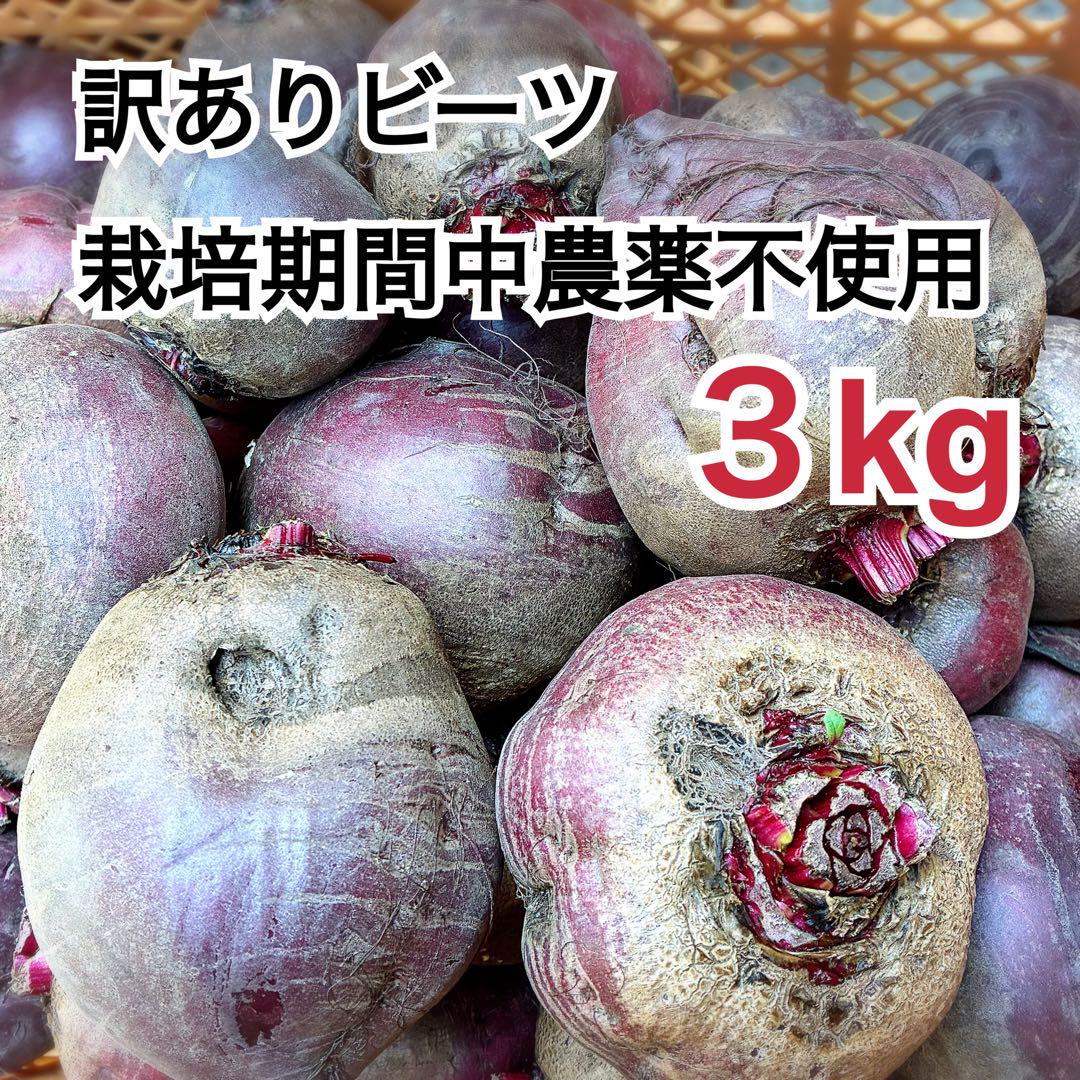 訳ありビーツ3kg(農薬：栽培期間中不使用)兵庫県丹波市産 - メルカリ