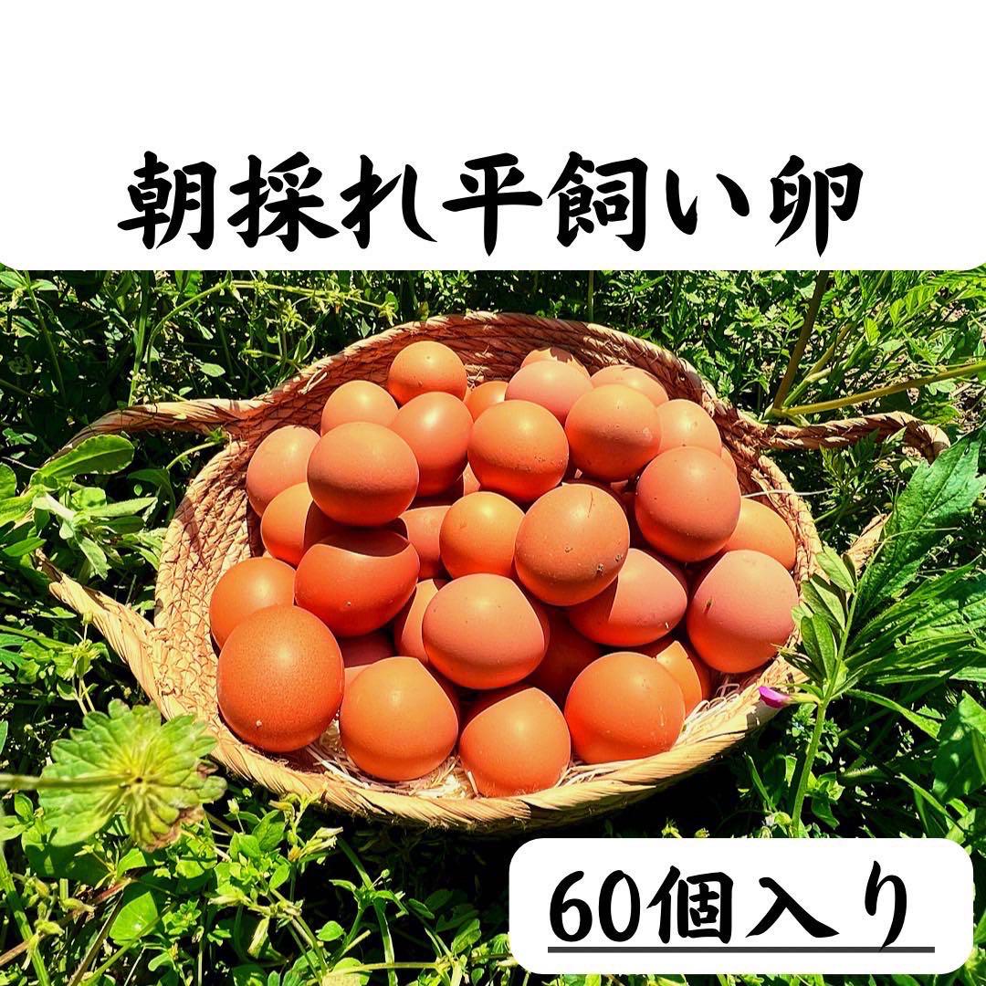 6a842a2551b383b342a6f8a315ab7a