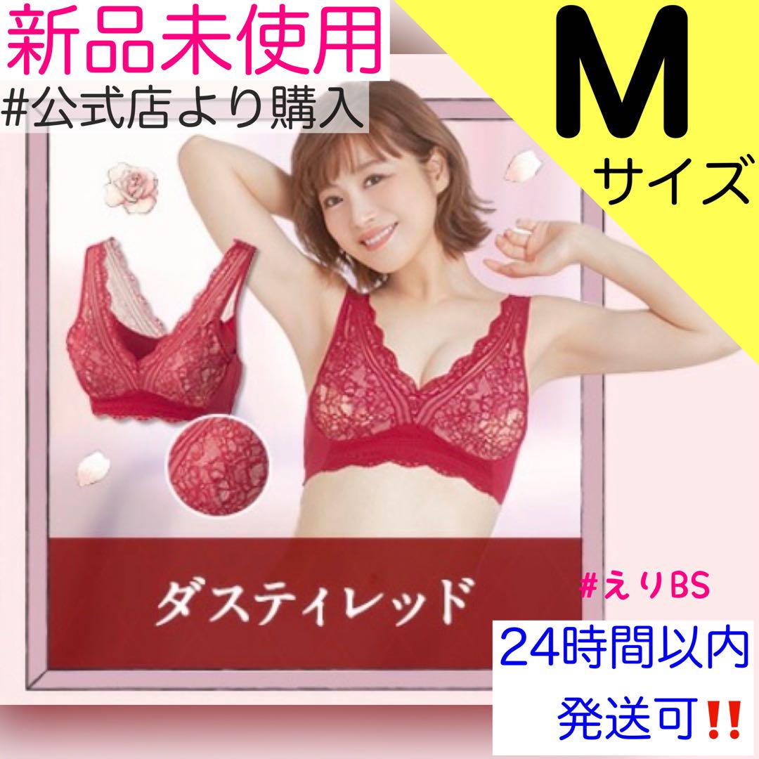 【新品未使用】LUNA ナチュラルアップナイトブラ M ダスティーレッド.