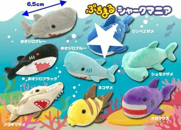 ぷちまる ☆ シャークマニア ☆ ぬいぐるみ castiello.com