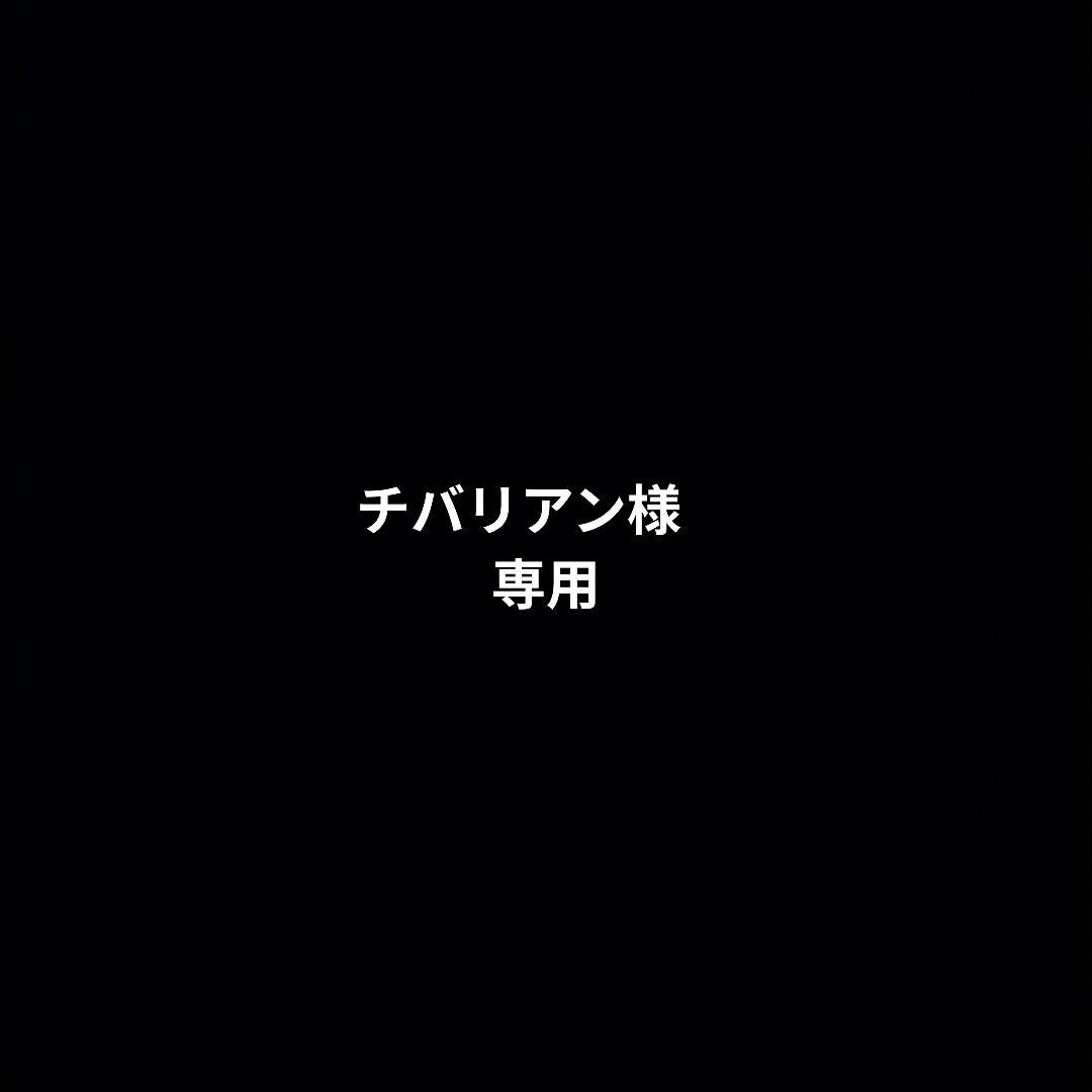 フィギュア 15点