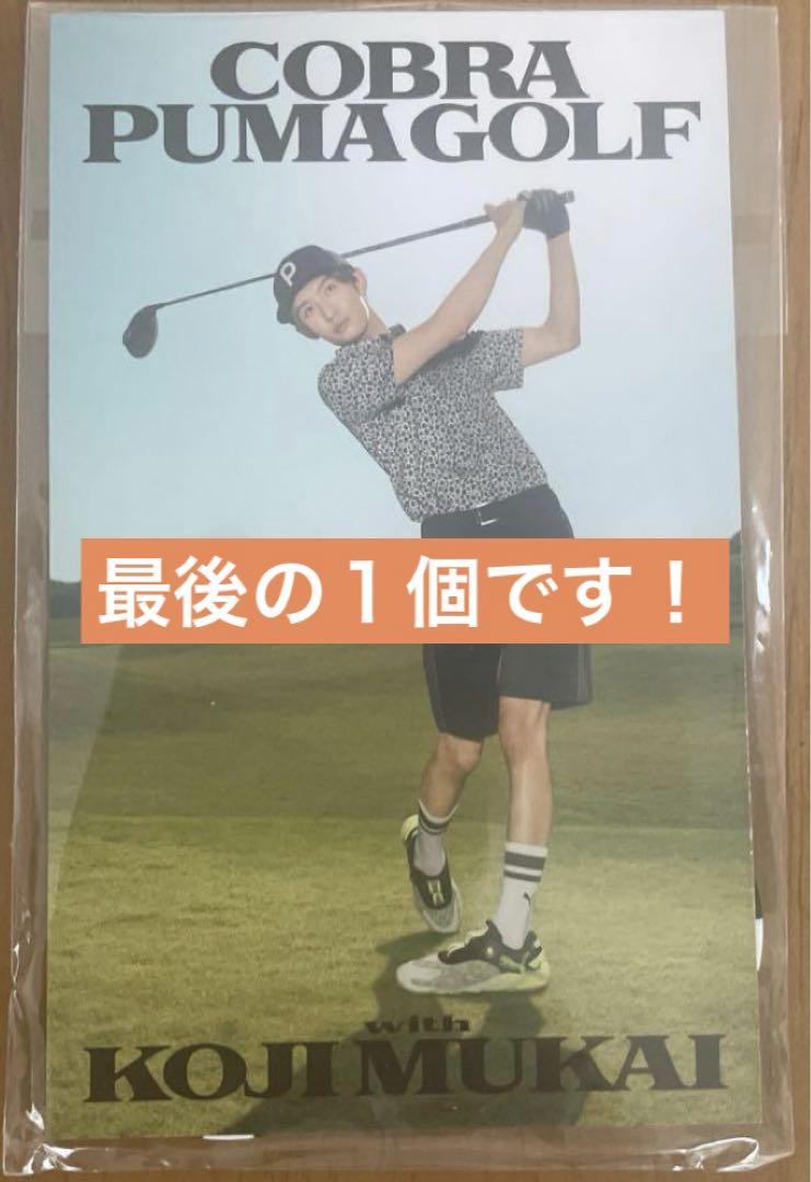 Snow Man向井康二が﻿「COBRA PUMA GOLF（コブラ プーマ ゴルフ