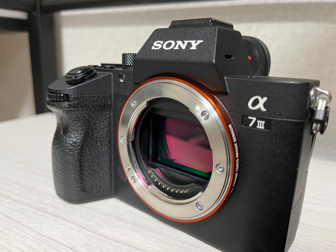 ショット数2,215枚　SONY α7 III ミラーレス一眼