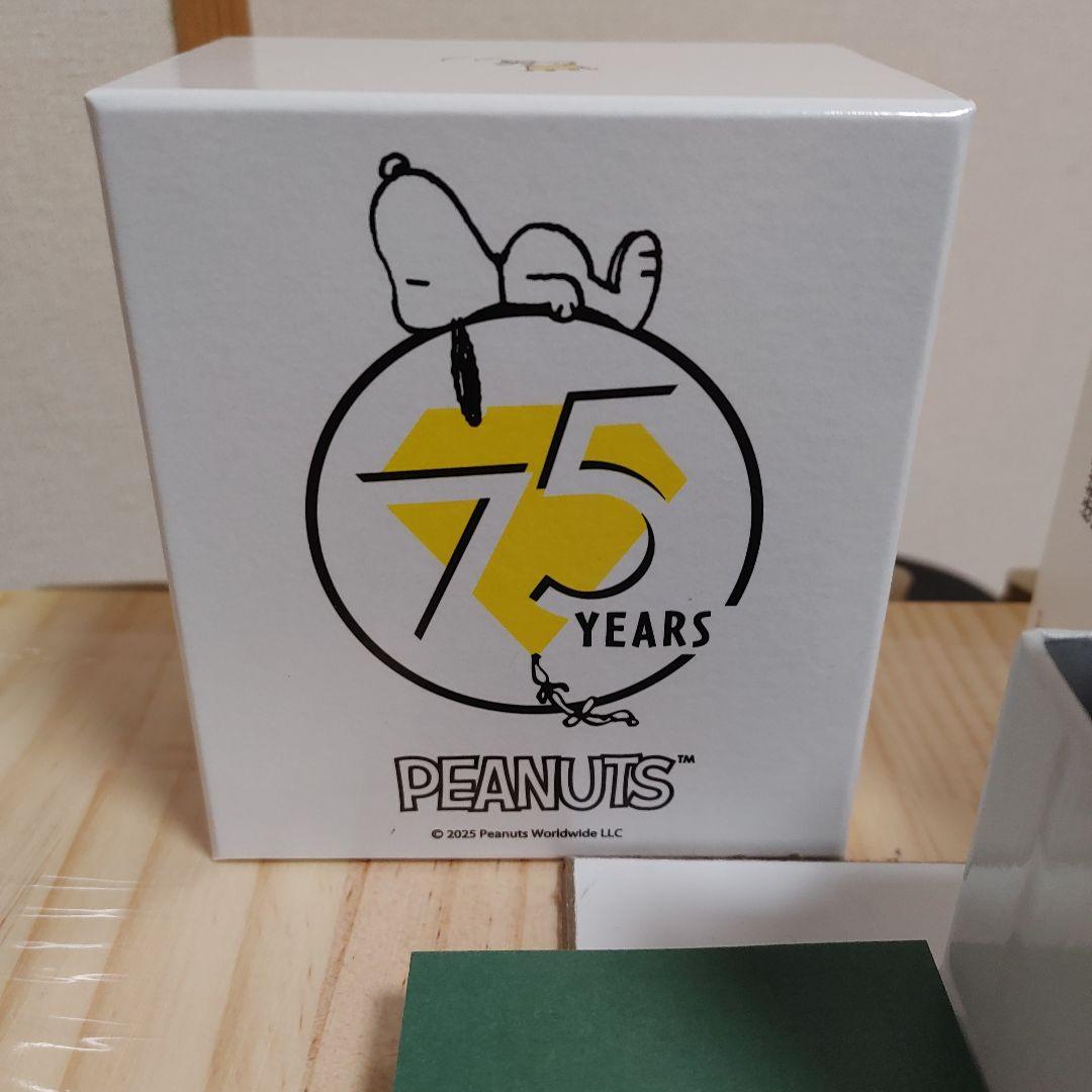 【未使用】Orient × PEANUTS 75周年 RN-AC0M16S