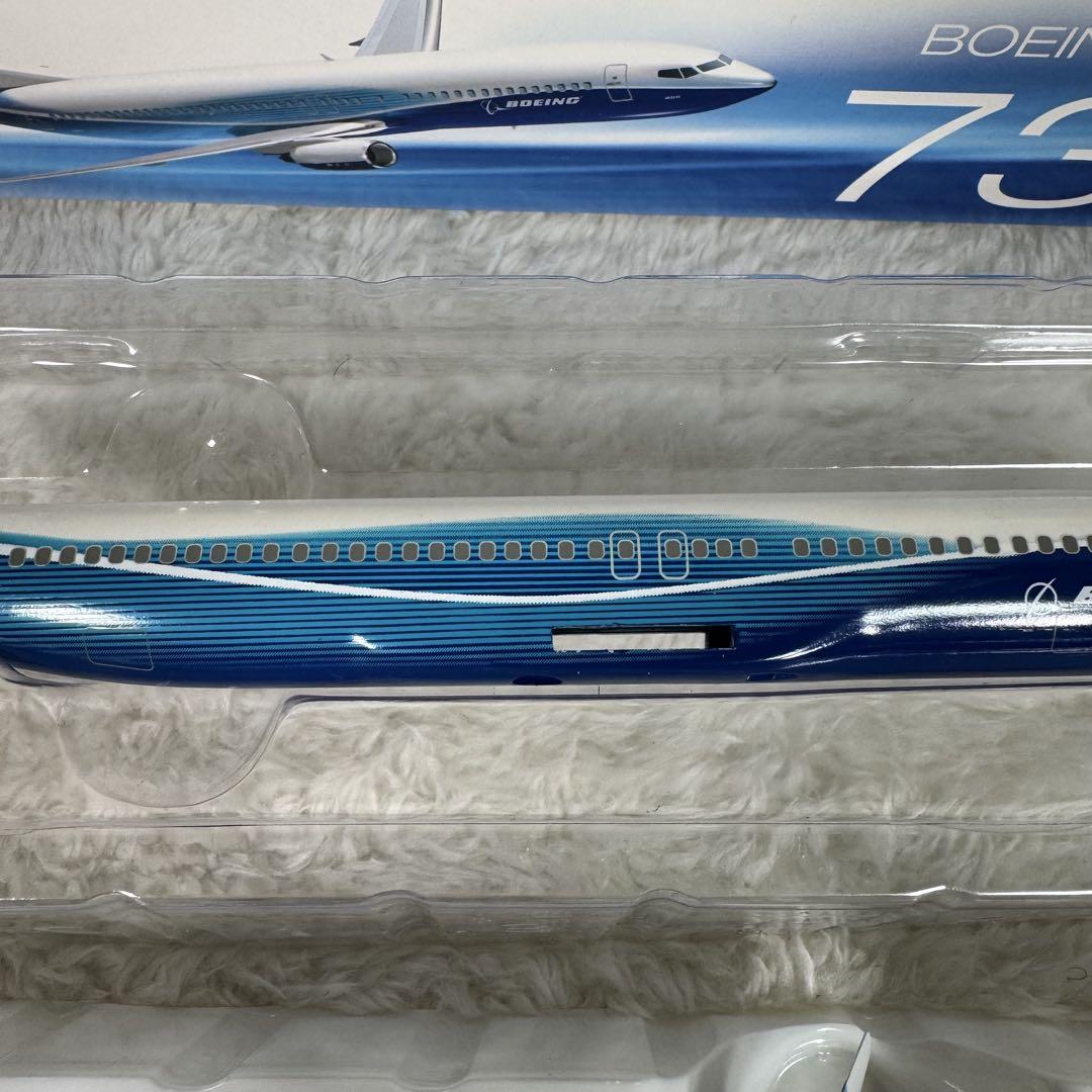 1/200 Boeing737-800 ハウスカラー　モデルプレーン