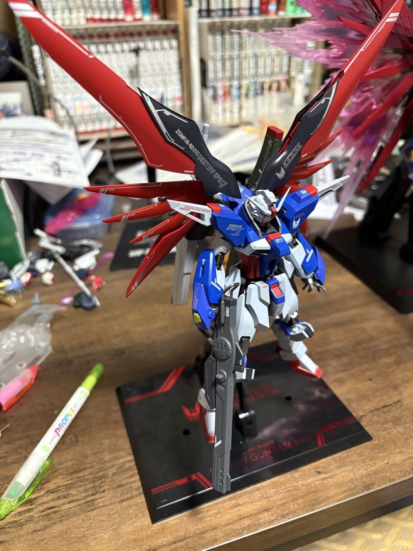 だー様専用　METAL ROBOT魂　デスティニーガンダムSPECⅡ