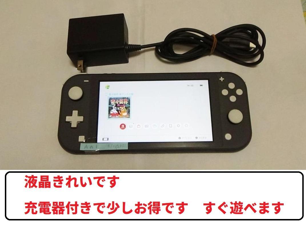 ⑤　　Nintendo Switch Lite グレー 本体　　充電器付き