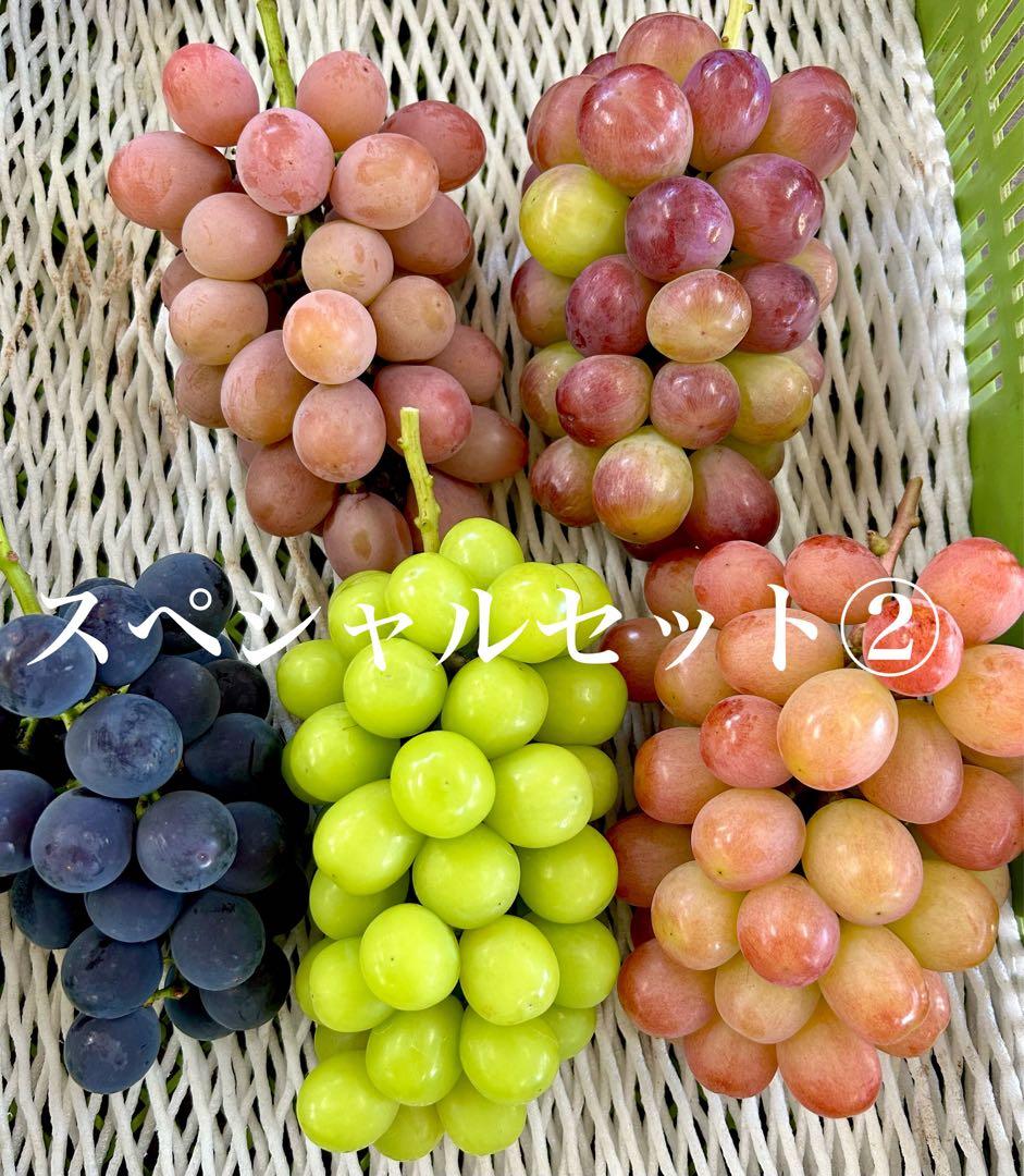 ⚠️クール便　葡萄⑤種類スペシャルセット‼️
