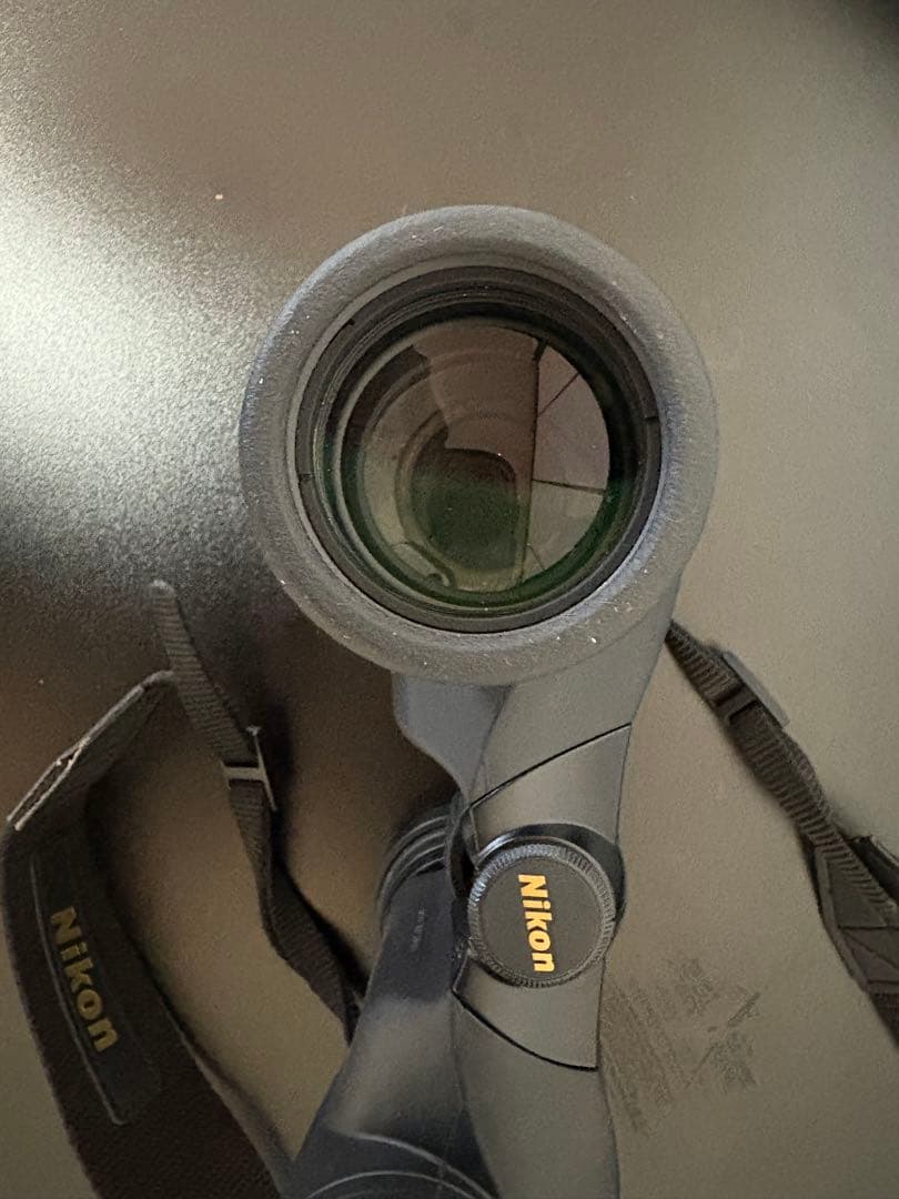 Nikon 双眼鏡 アクションEX 8×40 CF