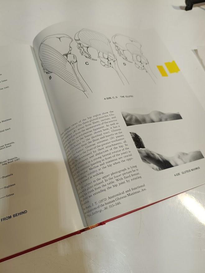 健康・医学 Grant's ATLAS OF ANATOMY
