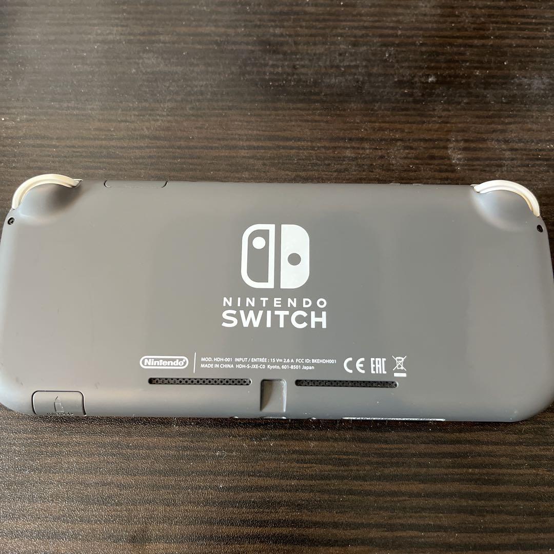 Nintendo Switch Lite グレー 本体、ACアダプター