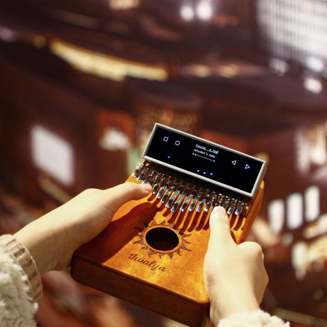 Kalimba Go カリンバゴー 17キー カリンバ 【ナビゲーション付】 Kalimba Go カリンバゴー 17キー カリンバ 【ナビゲーション付】
